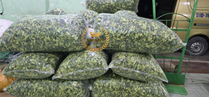 Hojas de Kaffir Lime Secas de Primera Calidad para Exportación, Hierba Saborizante Natural para Aplicaciones Alimentarias, Empaque OEM, Hecho en Vietnam - Product Image 6