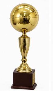 CHAMP KING Gold Sports <b>Trophy</b> <b>Cup</b> Champion Of Excellence Award Durable Premium Quality Metal <b>Trophy</b> - Product Image 5