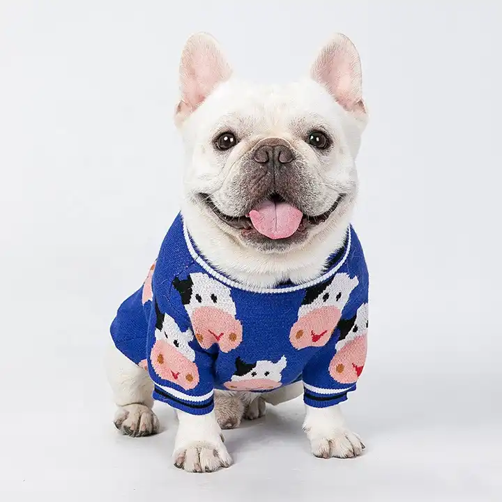 Wholesale para ropa de ropa para perros pequeños, color azul, Otoño Invierno From m.alibaba.com