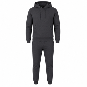 Ensemble de survêtement à capuche pour l'hiver, style hip-hop streetwear, avec logo brodé personnalisé, coupe classique, grandes tailles, vêtements de sport décontractés, vente en gros - Product Image 1