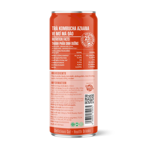 Boisson Kombucha Artisanale Pêche-Abricot OEM, Thé Fermenté Sucré Prêt à Boire, Vente en Gros - Product Image 2