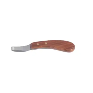 เครื่องมือสัตวแพทย์กีบวงรีผลิตโดยการปลูกถ่ายศูนย์กลางในปากีสถาน - Product Image 2