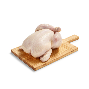 Piezas de Pollo y Pollos Enteros en Venta |   Carne de US Wellness! ! - Product Image 1
