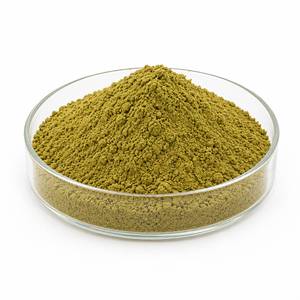 Extracto de Hoja de Adhatoda Vasica en Polvo, Extracto Botánico Premium para Aplicaciones de Suplementos Herbales, Suministro del Fabricante, OEM - Product Image 4