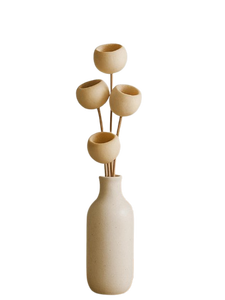 Bell Cup Natural Dried on Stem Christmas Decorative Home Decorative Item with Different Sizes Colors Eco-Friendly West Bengal - Product Image 6