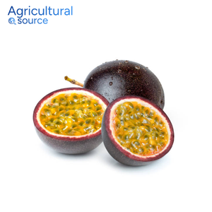 Fruit de la passion essentiel-Fournit de l'énergie naturelle pour les boissons sportives et les modes de vie actifs-Fruit de la passion de l'usine du Vietnam - Product Image 4