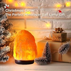 โคมไฟเกลือหิมาลัยระดับพรีเมี่ยมสำหรับ100% ไฟอ่อนทำความสะอาดอากาศฮวงจุ้ยดีไซน์ความรักโดยตรงจากผู้ผลิตสำหรับบ้านธุรกิจ - Product Image 5