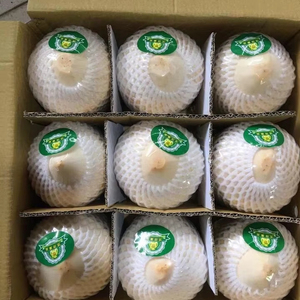 Coco de Vietnam Premium Pelado Tipo Diamante |   OEM/ODM Disponible para Pedidos al por Mayor - Product Image 1