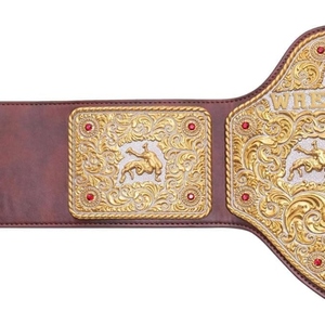 Custom Championship Title <b>Belt</b> for Wrestling Boxing MMA Champion <b>Belt</b> Premium Leather Strap <b>Gold</b> Metal Plates Logo Branding - Product Image 3