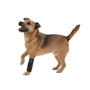 Manchons réfléchissants en néoprène extrême pour animaux de compagnie, pour la protection des articulations - Product Image 2
