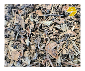 Hojas de Mesona Secas para Gelatina, Hojas de Mesona Orgánicas de Vietnam para Postre de Gelatina Herbal, Hojas de Mesona Secas Halal - Product Image 1