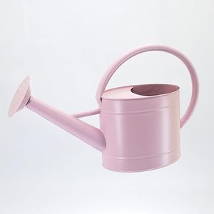 Fabricant OEM – Arrosoir décoratif en métal fait main avec texture rustique pour la décoration intérieure, de jardin et de ferme - Product Image 6