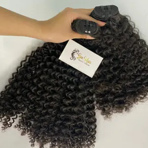 Sun Hair Company Hot Fashionable Jerry Curly Natural Black Cutilcle Aligned Weft Hair 100% Vietnamese Human Hair Extensions