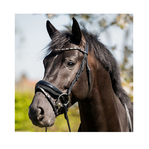 Brida de cuero premium Horsekraft HK-BR230, la más vendida, con cabezada anatómica suavemente acolchada, cristales y narquiler transpirable. - Product Image 1