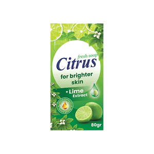 Best Selling CITRUS Fruity <b>Soap</b> / Toilet Bath <b>Soap</b> (Box Packing) Fresh and Clean - Product Image 1