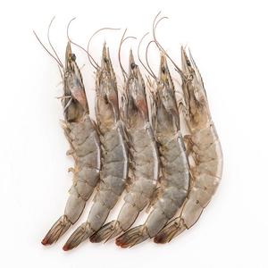 Crevettes Vannamei surgelées fraîches, anguilles vivantes, processus BQF, aromatisées, emballage en pot Mason, 5 kg, durée de conservation de 6 mois, bonne qualité, délicieuses - Product Image 5