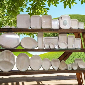 Plato de bambú de madera de palma Areca biodegradable desechable estilo de diseño Ins para fiestas bodas decorativas con planta elegante - Product Image 3