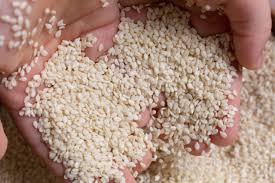 Graines de sésame naturelles JIYAN de haute qualité 100% - Pur pressé à froid - Origine indienne - 25 KG - Emballage personnalisé - Durée de conservation de 12 mois - Product Image 4