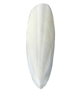 ปลาหมึกแช่แข็ง IQF แบบทั้งตัว ทำความสะอาดแล้ว เกรดพรีเมียม ขนาด 30 ซม. น้ำหนัก 10 กก. แบบขายส่ง - Product Image 1