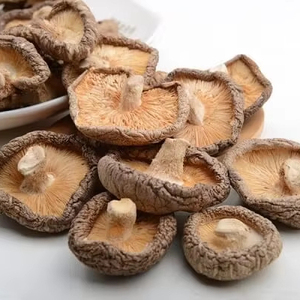 HIGH QUALITY VIETDELTA Dried Shiitake Mushroom 10kg Cultivated Natural Flavor Enhancer for Restaurant & Food Industry - Product Image 1