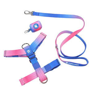 Conjunto de Arnés para Perro Sin Tirones Comfort Control Snow Cone con Correa a Juego y Clip Frontal Ajustable, Set de Entrenamiento para Paseos Diarios - Product Image 1