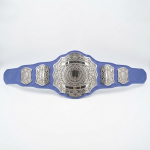 Ceinture de championnat sportive personnalisée, ceinture de récompense pour la lutte et la boxe, plaques métalliques de qualité supérieure, sangle en cuir, logo gravé - Product Image 4