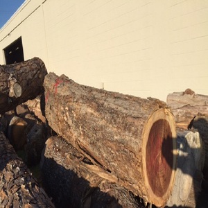 Bûches de chêne de qualité supérieure en vrac, rondes, de haute qualité pour meubles et intérieurs raffinés - Product Image 4