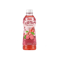 Zomerse drank IJsthee Passievrucht smaak puree 500ml PET fles |   Aangepaste smaakontwerp logo OEM ODM Private Label