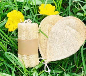 VIETNAM Esponja de Luffa 100% Natural y Cruda para el Cuerpo – Exfoliante Corporal y de Baño - Liam - Product Image 5
