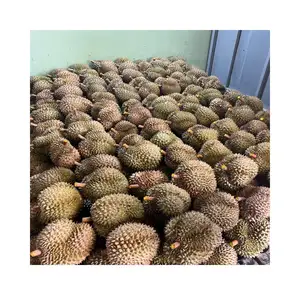 Experimente o Rei das Frutas! Premium Thai Fresh Cut Durian-Prove o Exótico