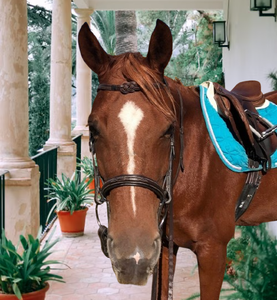 Bridon d'équitation anglais en cuir sur mesure avec frontale à nœud celtique |   Fabricant de matériel équestre haut de gamme - Product Image 2