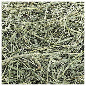 Heno Timothy de Primera Calidad para Alimentación Animal, Heno para Conejos y Cobayas, Suministro al por Mayor, Stock Disponible - Product Image 5
