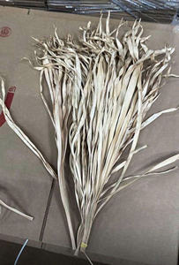 Feuilles de palmier séchées naturelles en gros et matériaux bruts pour la tressage, pour la décoration intérieure bohème, frondes de palmier 100 % écologiques séchées au soleil - Product Image 4