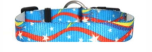 Breakaway Nylon Dog <b>Collar</b> Safe Adjustable <b>Collar</b> for <b>Puppies</b> from Divine International - Product Image 5