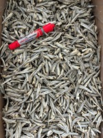 Anchois séchés en gros, Anchois séchés, Fruits de mer séchés, Fabricant de produits de la mer, Anchois séchés en vrac, Anchois séchés au soleil avec sel