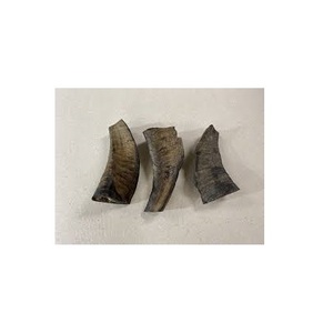 Friandise à mâcher durable en corne, jouet élégant pour chien, friandise naturelle pour chien, jouet à mâcher durable en corne de buffle, jouet élégant pour chien - Product Image 2