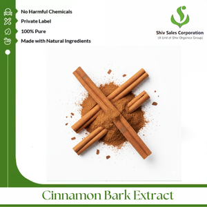 Extrait de Cannelle Commerciale pour les Développeurs de Saveurs Cherchant une Expérience Sensorielle Authentique et une Approvisionnement Fiable en Gros - Product Image 3