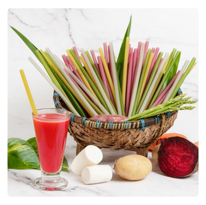 Pajitas de arroz cero residuos-compostables y biodegradables - Product Image 6