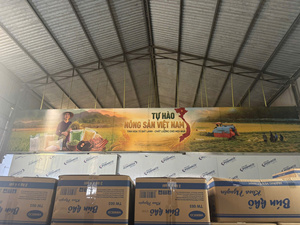 บะหมี่แห้งเวียดนามแท้ ยี่ห้อ IIGLOBAL FARM แบบเส้นแบน ไร้กลูเตน 100% ธรรมชาติ ซื้อจำนวนมาก บรรจุ 10 กก. - Product Image 5