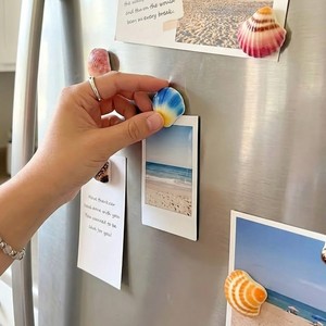 Juego de imanes para refrigerador hechos a mano con conchas marinas para decoración de cocina y nevera. - Product Image 5