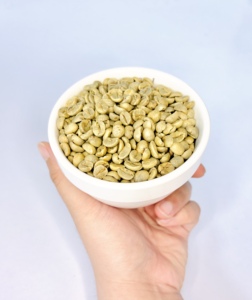 Café Verde Robusta Vietnamita DHPONE Grado AA, Color Natural, Sabor Neutro, Sin Alérgenos, Empaque en Bolsa de 60 kg, Entero - Product Image 3