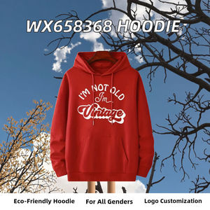 Sudadera con Capucha de Invierno Ecológica, Lisa, de Poliéster/Algodón, con Bolsillo, Logotipo Personalizado, Unisex para Hombre, Venta al Por Mayor - Product Image 2