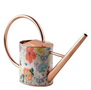 Arrosoir en cuivre élégant en émail floral pour l'entretien des plantes d'intérieur et d'extérieur Outil de jardinage parfait pour la décoration intérieure élégante - Product Image 1
