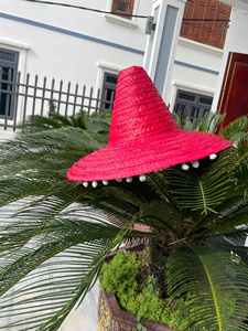 Vietnam Origin Mexican Sombrero <b>Straw</b> <b>Hat</b> Wide Brim Natural <b>Straw</b> Material For Beach Party Costume And Festival Decor - Product Image 3