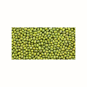 Fèves de bambou vertes de qualité supérieure en vrac pour les supermarchés et les fournisseurs alimentaires - Product Image 6