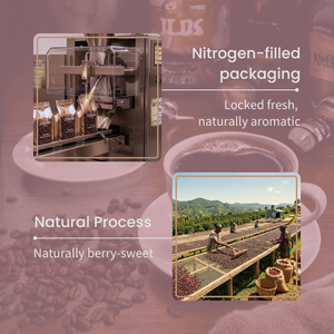 กาแฟดริปพรีเมียมเอธิโอเปียเกรด G1 คั่วเข้ม บรรจุในถุงกรองแบบพกพา น้ำหนัก 10 กรัม - Product Image 2