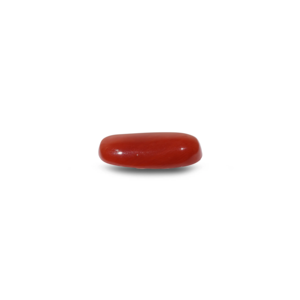 Natural Red Coral Oval Cabochon Loose Gemstone 8 Carat Certified Wholesale - Product Image 3