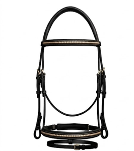 Brida de Caballo de Calidad Premium con Bocado de Estilo Inglés, Cuero Negro, Adornos de Latón Dorado Auténtico y Herraduras - Product Image 1
