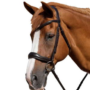 Bridon de cheval en cuir anatomique de qualité supérieure |   Bridon anglais rembourré et réglable |   Équipement d'équitation durable avec des éléments en acier inoxydable - Product Image 3