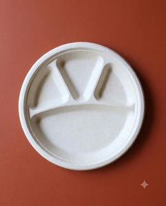 Assiette ronde biodégradable en bagasse de canne à sucre, 11 pouces, 4 compartiments, blanche, compostable, pour la restauration - Product Image 3
